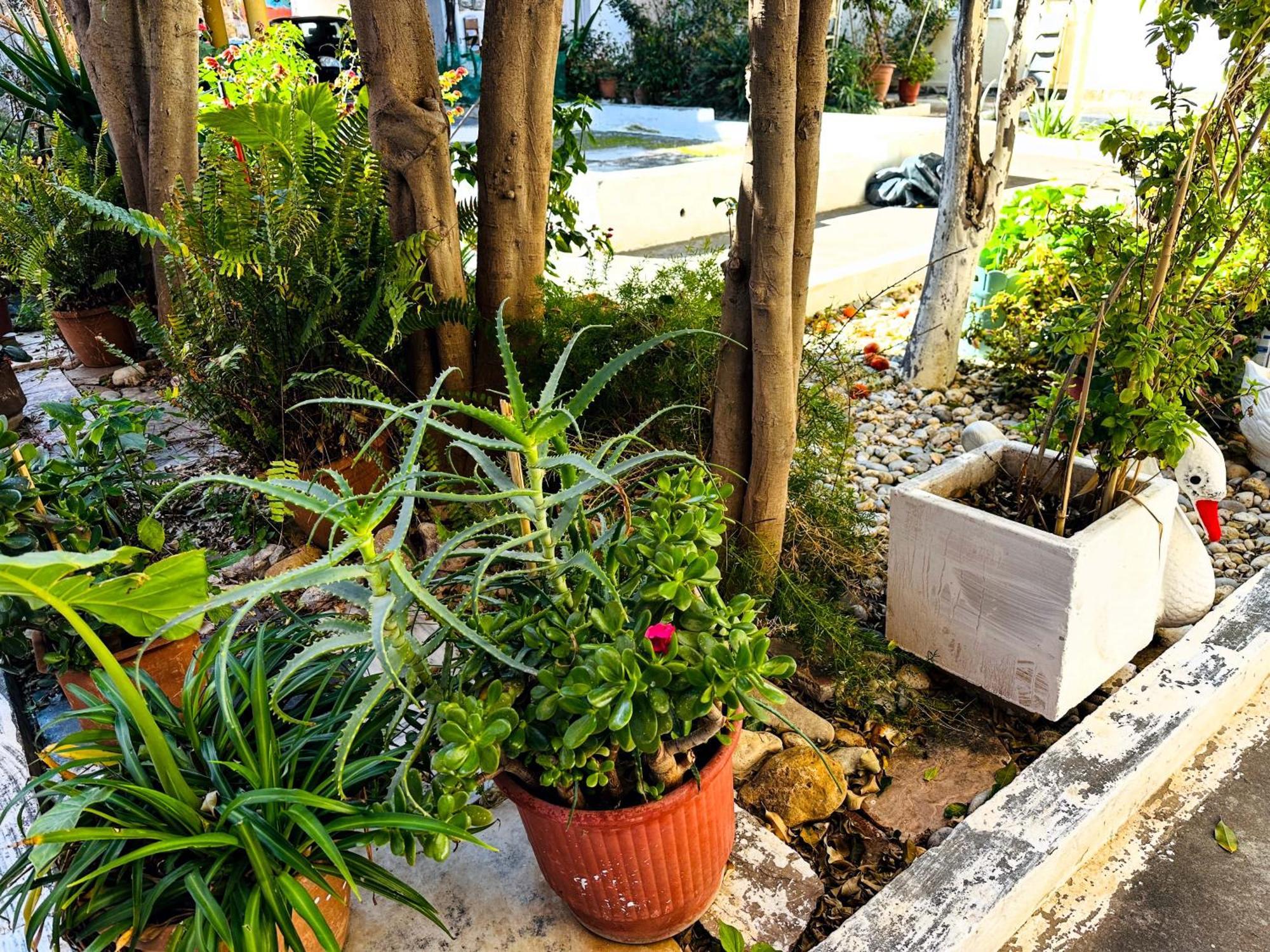 Matina Room Chania  Exterior photo
